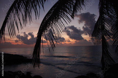 Precious sunset violet, orange and pink with tropical palm tree, above the sea. bay of Tulum, cancun, playa del carmen, riviera maya, Yucatan, Quintana roo, Mexico.