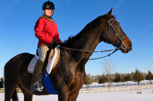 Young female rider in red jacket on horseback standing in a winter field against a blue sky