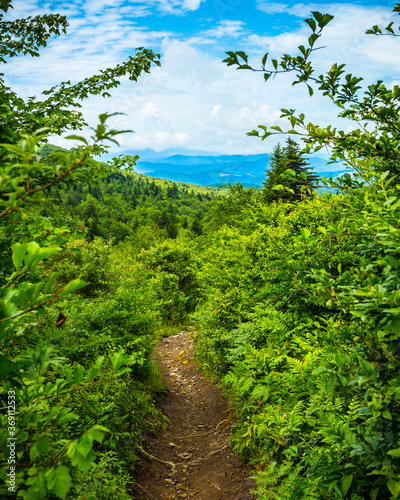 View of the Appalachian Mountains framed by a lush hiking trail inside Grayson Highlands State Park in Virginia