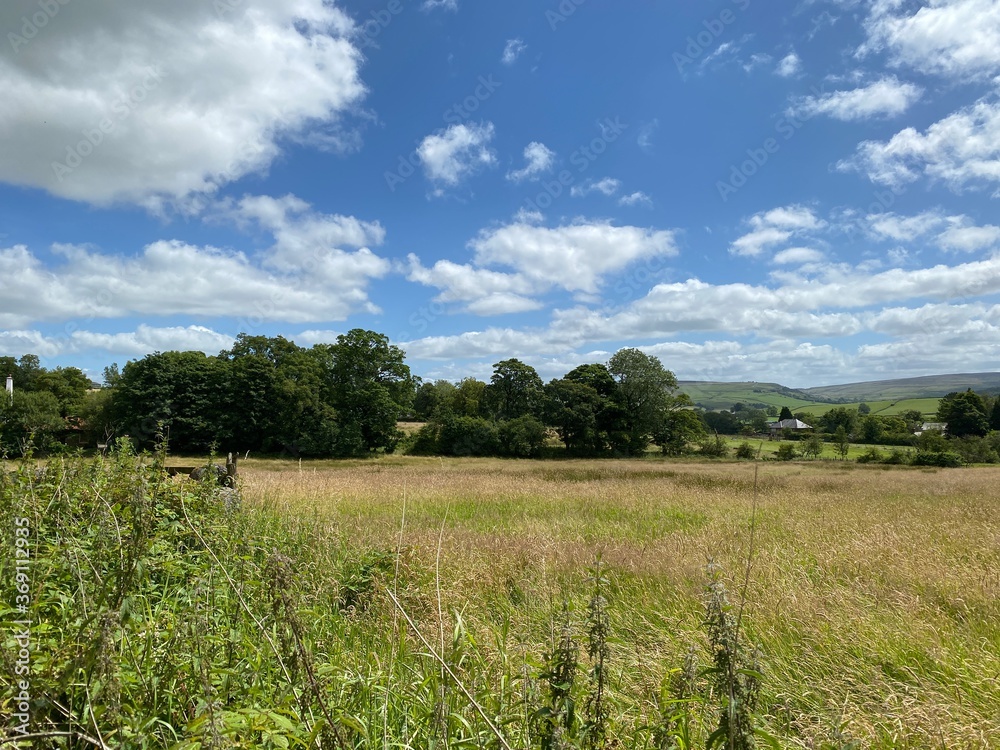 A view across a cornfield, with trees, fields, and meadows in the distance near, Bradford, Yorkshire, UK A view across a cornfield, with trees, fields, and meadows in the distance near, Bradford, Yorkshire, UK
