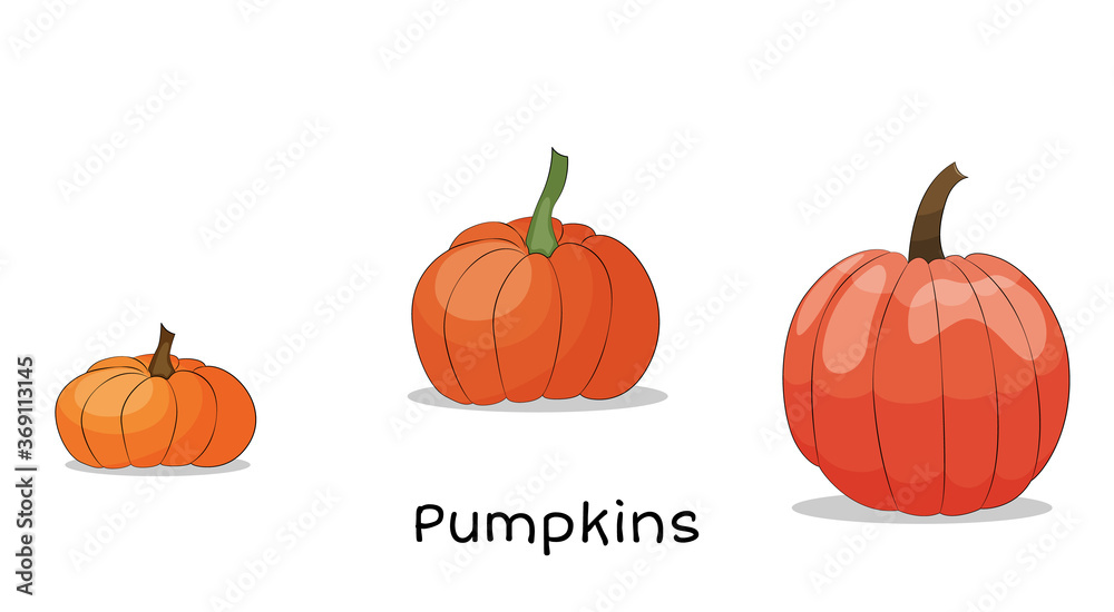 Orange pumpkins vector set illustration on the white background. Orange pumpkins vector set illustration on the white background.