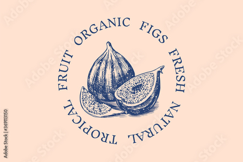 Fresh fig badge. Fruit Foliage label or logo. Cut pieces. Detox spice. Vector Engraved hand drawn sketch for stamp, t-shirt or typography or menu. 