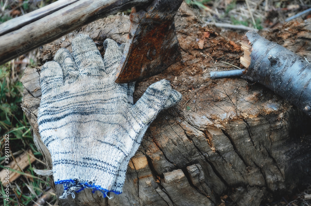 Obraz premium An axe with a glove on the stump. Sawing trees for fuel
