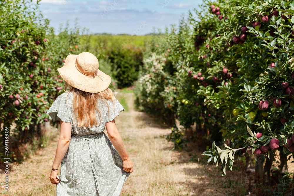 Beautiful slim happy young girl in a straw hat and long dress running in the apple garden. Trees full of ripe fruits. Bright warm fall colors, blue sky. Back view.