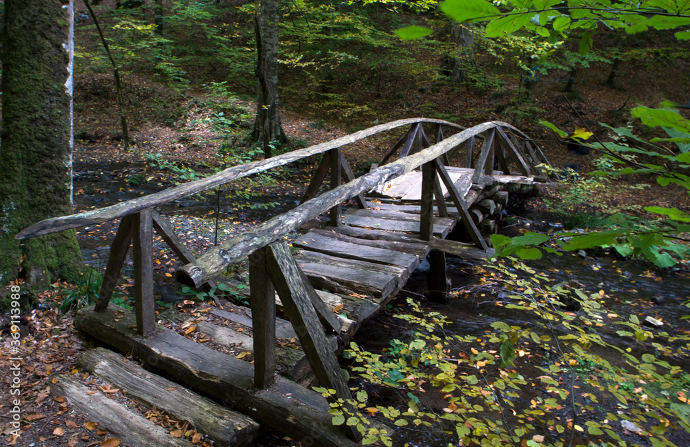 Yedigoller National Park (untouched nature) in Bolu Turkey