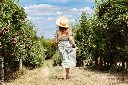 Beautiful slim happy young girl in a straw hat and long dress running in the apple garden. Trees full of ripe fruits. Bright warm fall colors, blue sky. Back view. © ArtSys