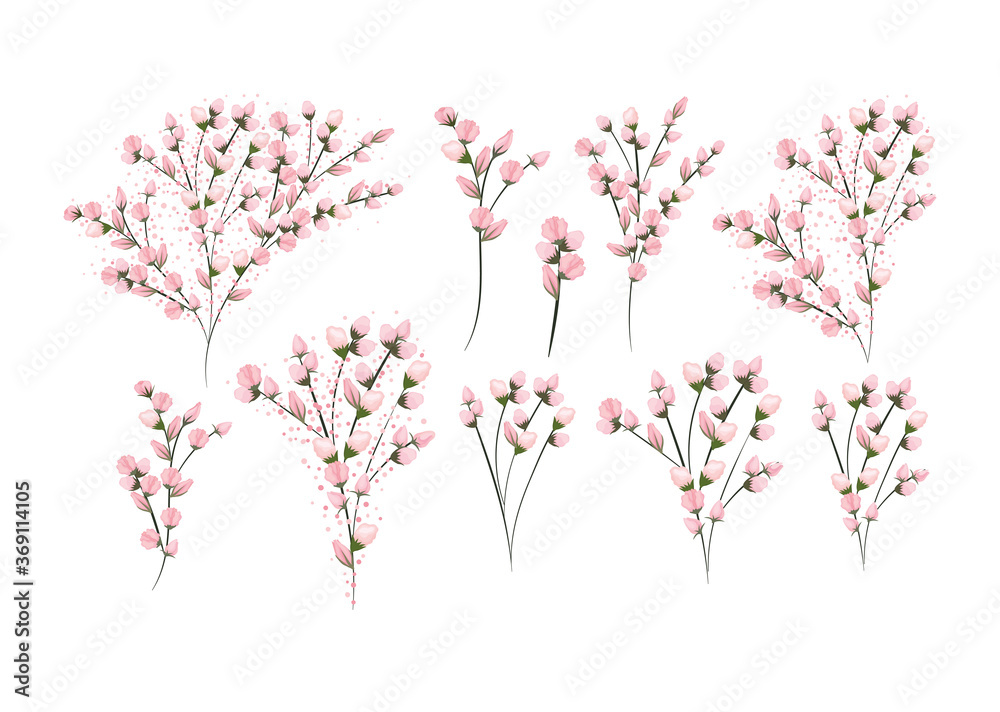 flowers branches painting design, natural floral nature plant ornament garden decoration and botany theme Vector illustration