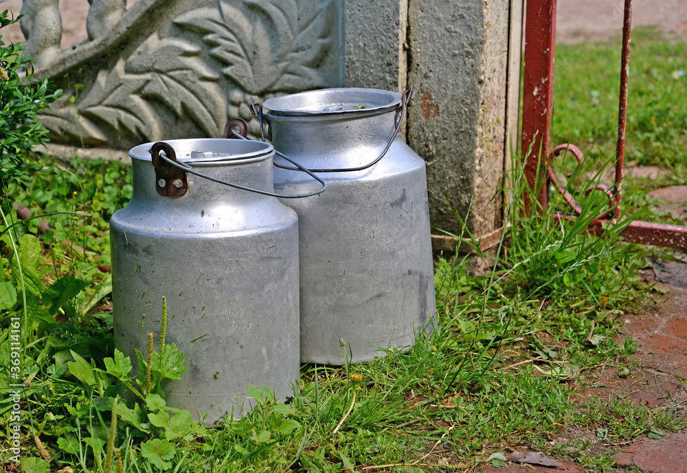 Aluminum bidons for milk stand against the background of a fence in the courtyard