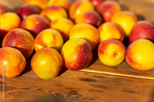 ripe nectarines on a wooden table. harvest of nectarines