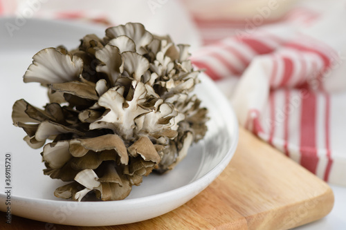 Hen of the woods mushroom, also known as maitake, ram's head, and sheep's head mushroom