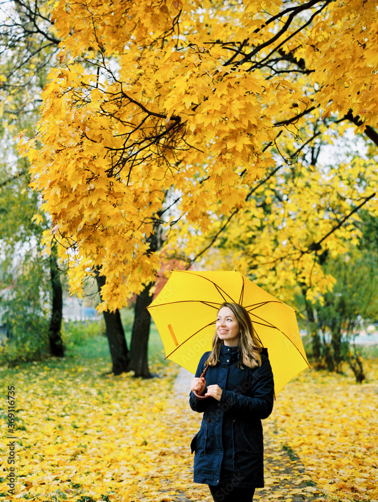 Woman walking in a fall park surrounded by yellow maple trees Woman walking in a fall park surrounded by yellow maple trees