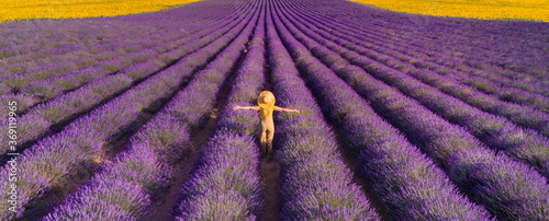 Woman in lavender field photo