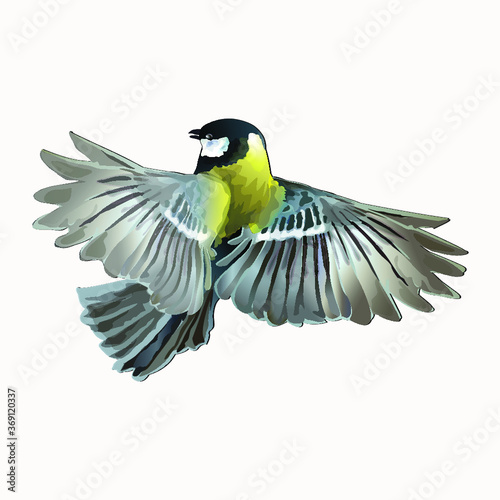 vector image of a flying tit