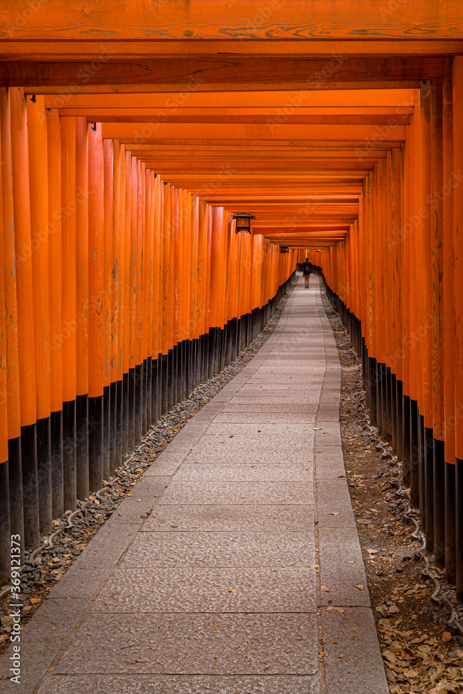 Tunnel of torii