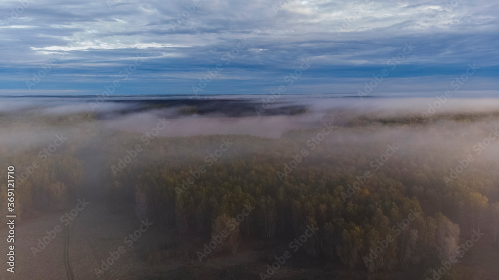Foggy forest and cloudy sky during sunset Foggy forest and cloudy sky during sunset
