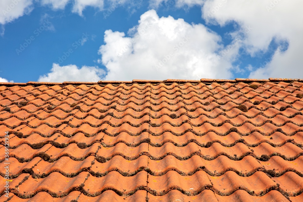 roof with moss-grown shingles against the sky