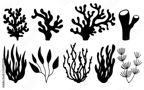 Vector set of corals and seaweeds silhouettes. Underwater coral reef and sea kelp in hand drawn doodle style. Marine aquarium plants illustration.