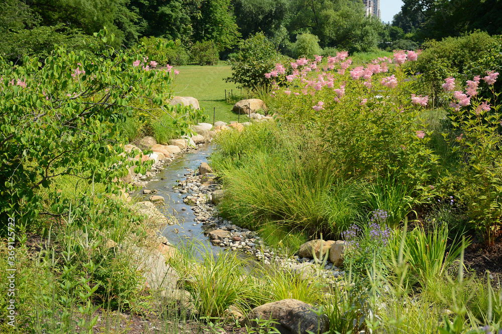 Brooklyn, NY, USA - June 27, 2019: Brooklyn Botanical Garden Brooklyn, NY, USA - June 27, 2019: Brooklyn Botanical Garden