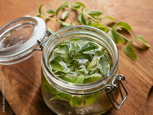 Lemon basil vinegar