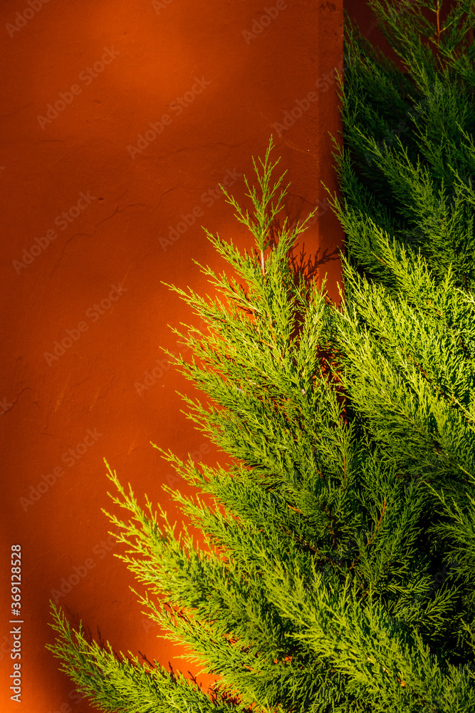 red-and-green-pattern-stock-photo-adobe-stock