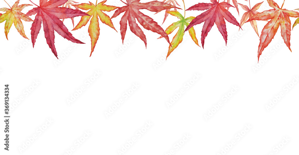 Horizontal Seamless background with autumn leaves of japanese maple Horizontal Seamless background with autumn leaves of japanese maple