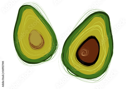 vector illustration with avocado cutaway 