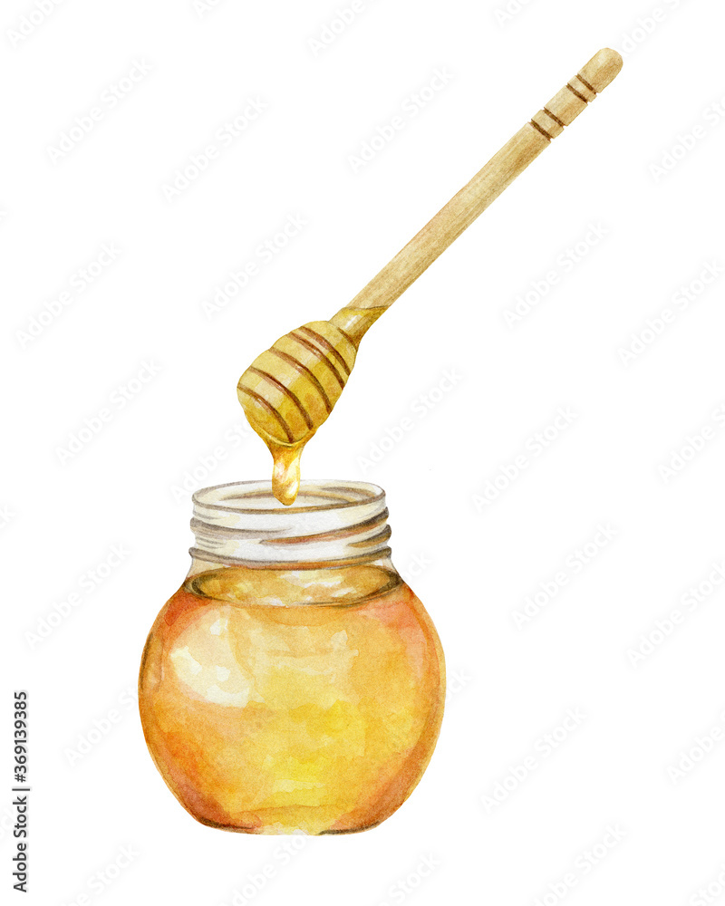 蜂蜜をすくう ハニーディッパー 水彩イラスト Stock Illustration Adobe Stock