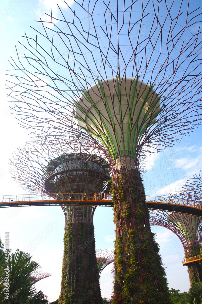 Walkway at The Supertree Grove at Gardens by the Bay in Singapore near Marina Bay Sands hotel