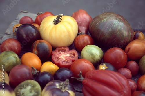 Multicolored tomatoes on a wooden surface top view, selective focus.