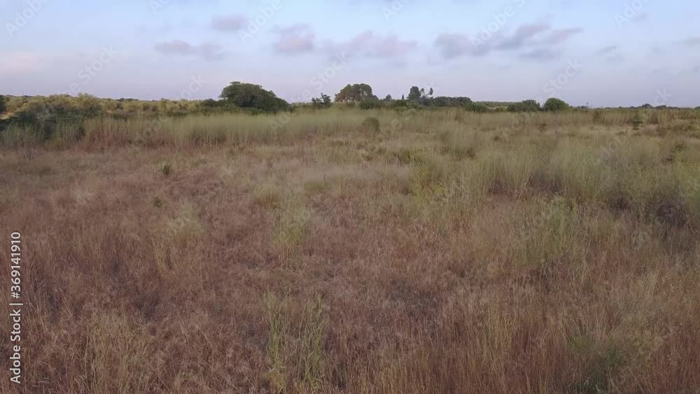 Woman is smiling and greeting, while drone view is pointing the steppe and nature land Woman is smiling and greeting, while drone view is pointing the steppe and nature land