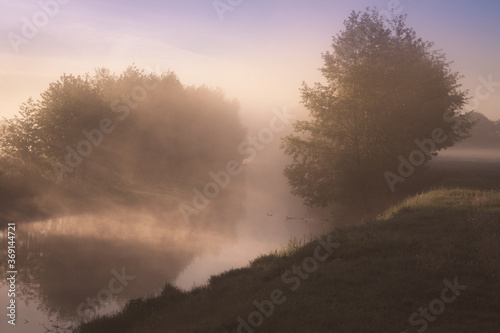 fog in the mountains