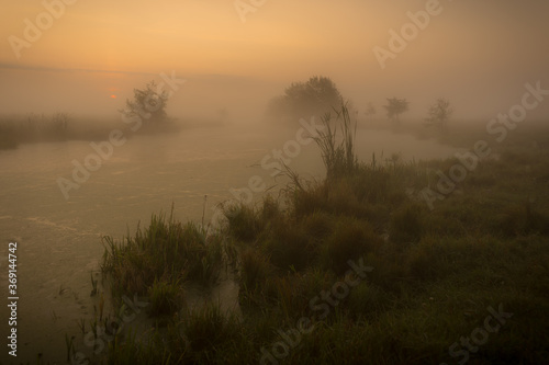 morning mist over the river