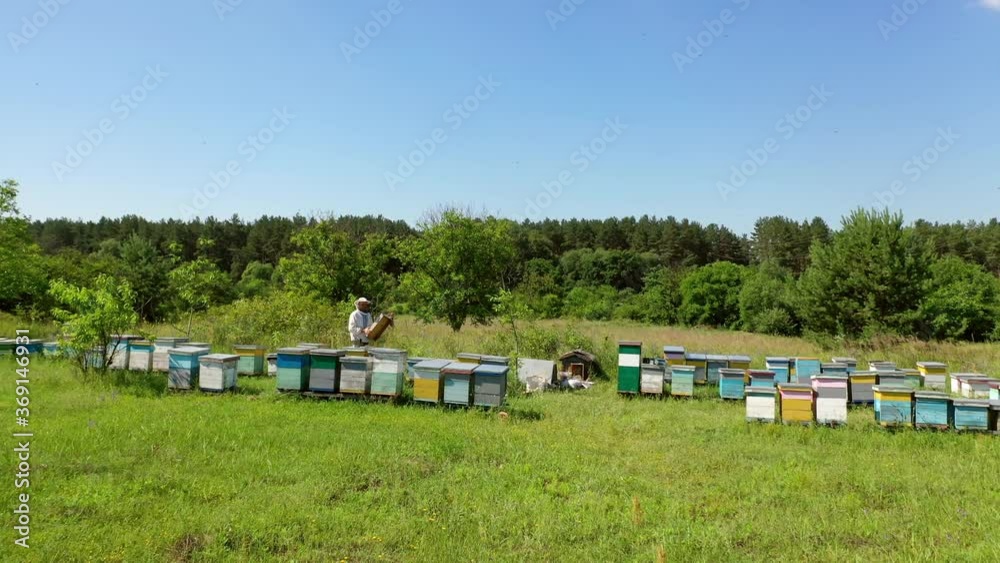 Wooden hives in green nature. Beekeeper in a protective hat works in an apiary. Experienced apiarist in a bee farm garden. Apiculture concept. Wooden hives in green nature. Beekeeper in a protective hat works in an apiary. Experienced apiarist in a bee farm garden. Apiculture concept.