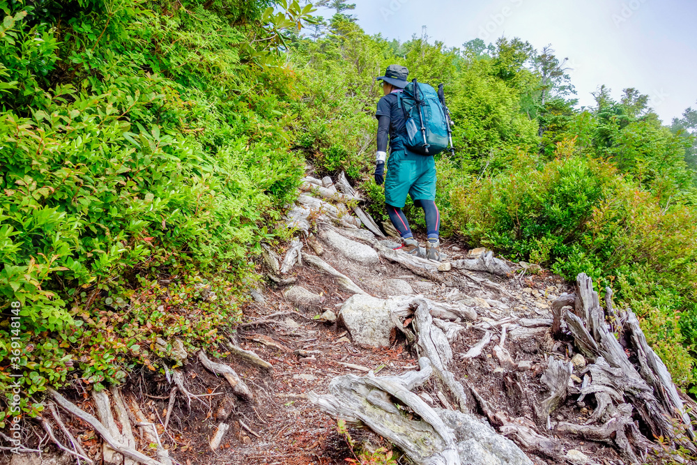 Fototapeta premium 北アルプス 七倉岳 登山道