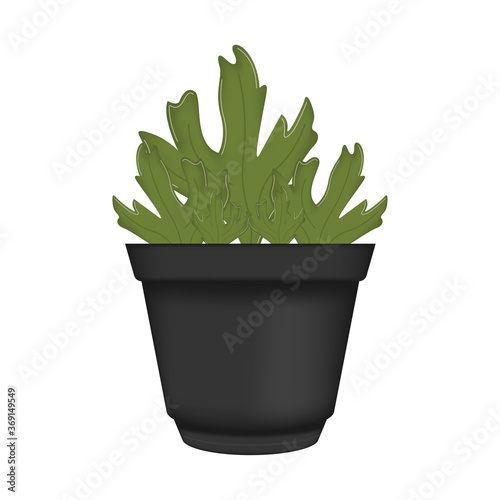 Vegetable or spice plant in a pot. Urban farming gardening - Vector