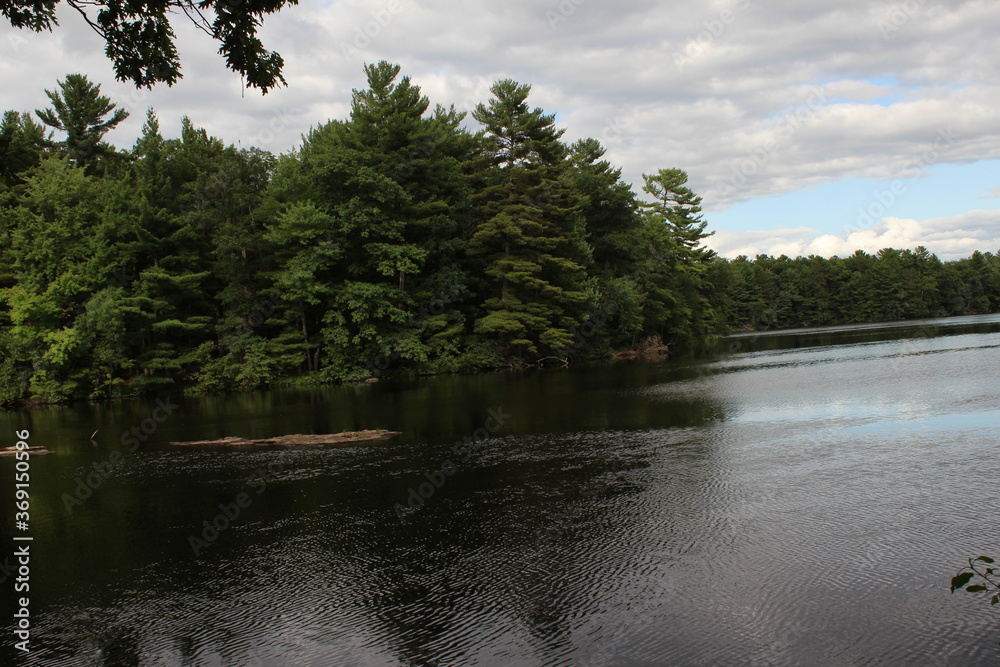 Obraz premium river in the park