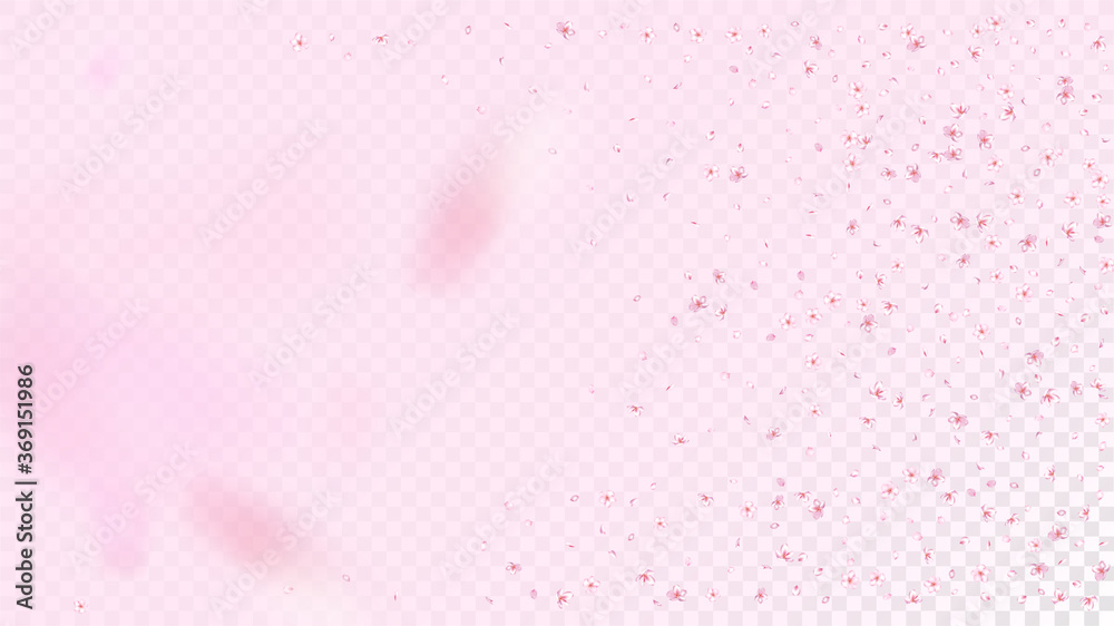 Nice Sakura Blossom Isolated Vector. Tender Flying 3d Petals Wedding Texture. Japanese Bokeh Flowers Wallpaper. Valentine, Mother's Day Magic Nice Sakura Blossom Isolated on Rose Nice Sakura Blossom Isolated Vector. Tender Flying 3d Petals Wedding Texture. Japanese Bokeh Flowers Wallpaper. Valentine, Mother's Day Magic Nice Sakura Blossom Isolated on Rose