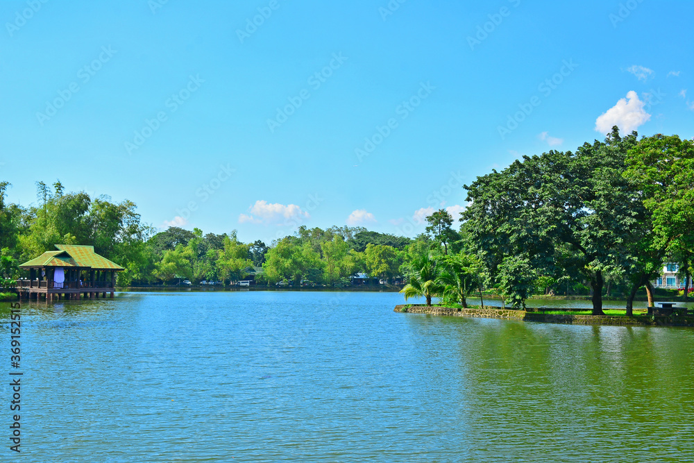 Lake and trees at Ninoy Aquino parks and wildlife center in Quezon City, Philippines