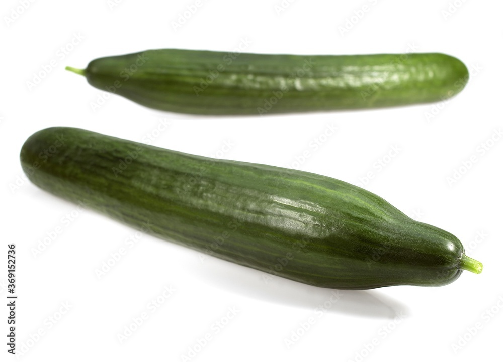 CUCUMBER AGAINST WHITE BACKGROUND CUCUMBER AGAINST WHITE BACKGROUND