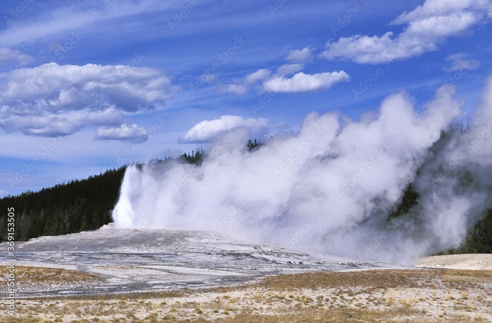 GEYSER IN YELLOWSTONE NATIONAL PARK, WYOMING