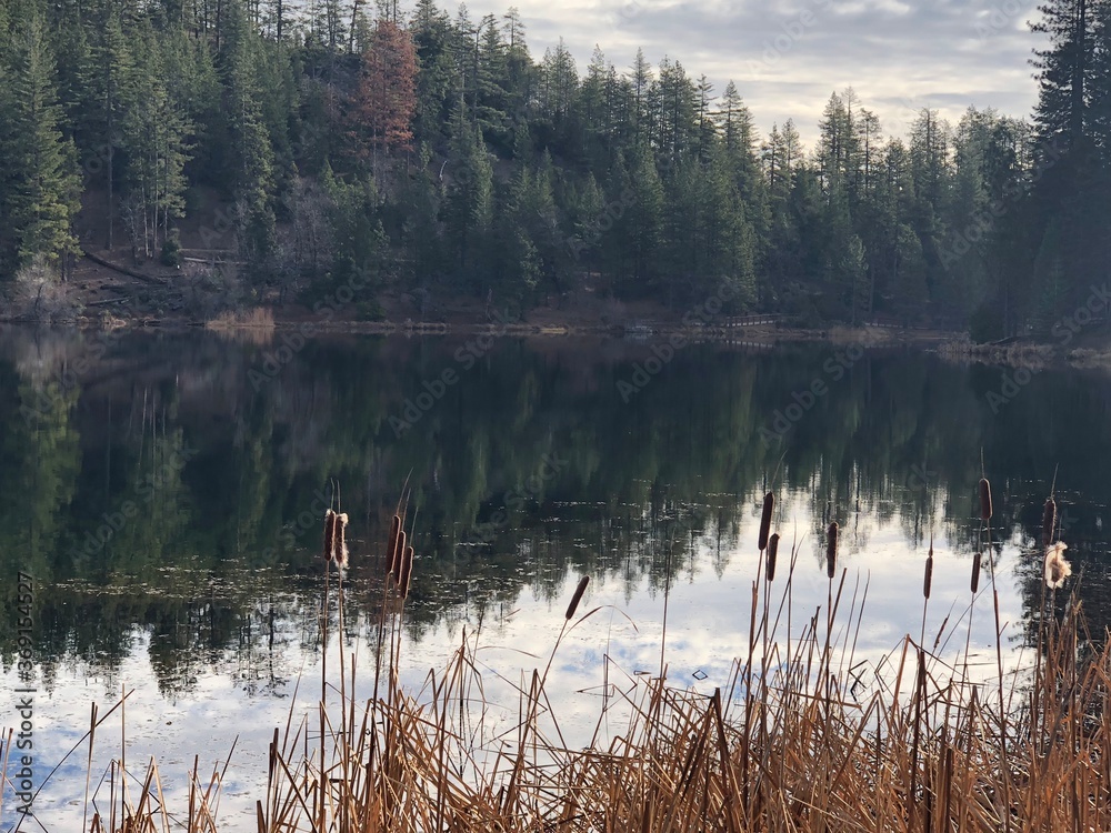 Obraz premium morning on the lake