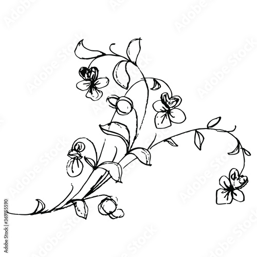 Stylized branch of viola tricolor plant. Pansy wildflower. Folk style. Cute floral motif. Hand drawn linear doodle ink sketch. Black silhouette on white background.