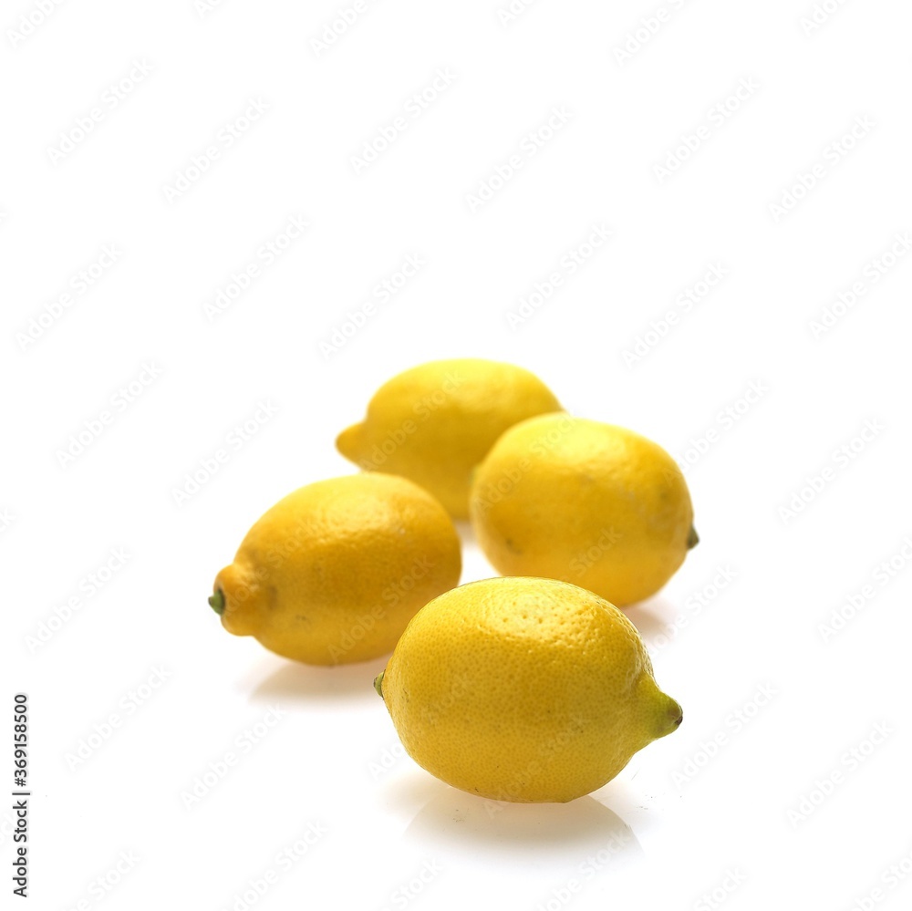 YELLOW LEMON citrus limonum AGAINST WHITE BACKGROUND YELLOW LEMON citrus limonum AGAINST WHITE BACKGROUND