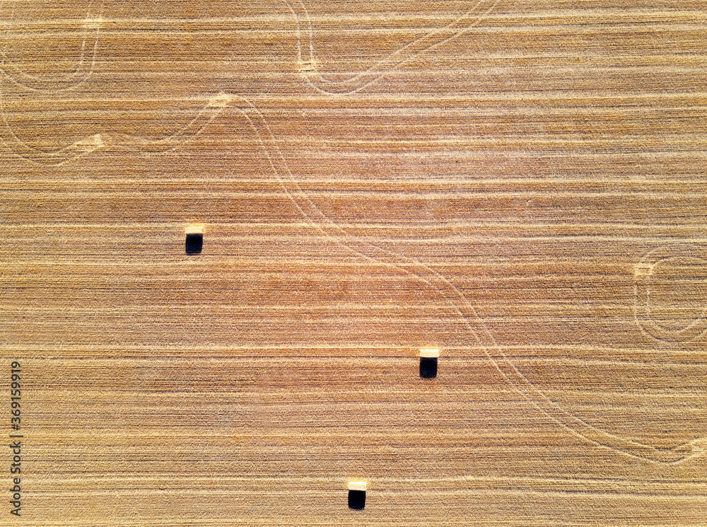 Aerial View of a wheat field and bales. Aerial View of a wheat field and bales.