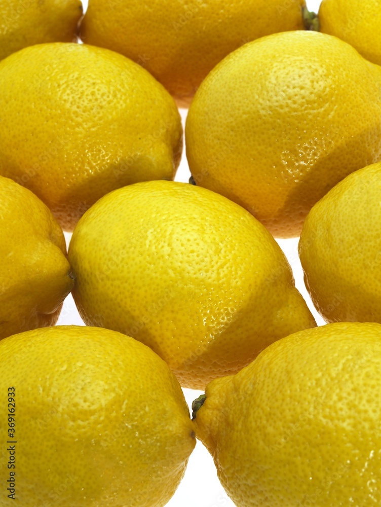 YELLOW LEMON citrus limonum AGAINST WHITE BACKGROUND YELLOW LEMON citrus limonum AGAINST WHITE BACKGROUND