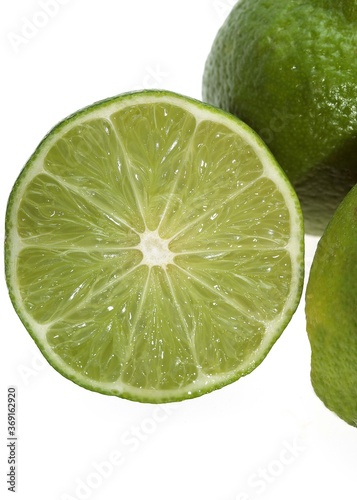 GREEN LEMON citrus aurantifolia AGAINST WHITE BACKGROUND