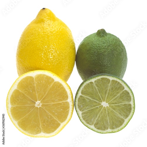 YELLOW LEMON citrus limonum AND GREEN LEMON citrus aurantifolia AGAINST WHITE BACKGROUND
