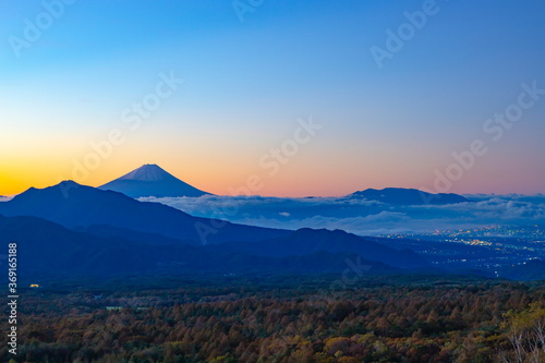 Fototapeta Naklejka Na Ścianę i Meble -  美し森から眺める夜明けの富士山と雲海に覆われた甲府盆地、山梨県北杜市清里高原にて
