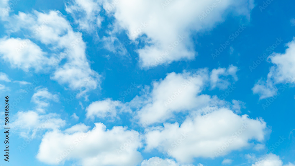 Fototapeta premium 青空・雲