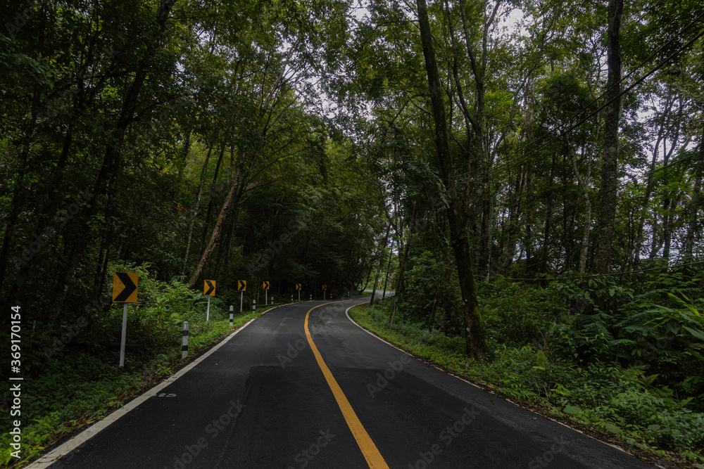 Rural Country Road on the Mountains early in the morning on the Doi Phuka National Reserved Park, Nan Province, Thailand Rural Country Road on the Mountains early in the morning on the Doi Phuka National Reserved Park, Nan Province, Thailand